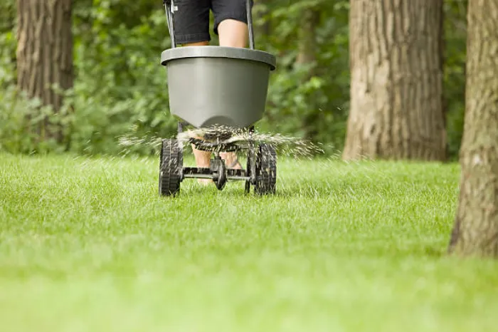 Dependable Lawn Fertilization in Yuma, AZ