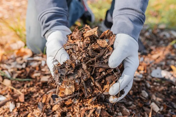 Dependable Mulching in Yuma, AZ