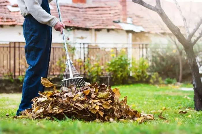 Detailed Yard Cleanup in Yuma, AZ