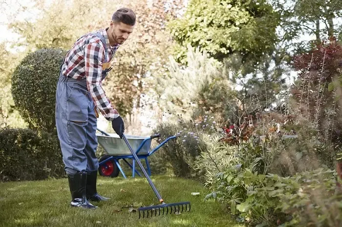 Exceptional Yard Cleanup in Yuma, AZ