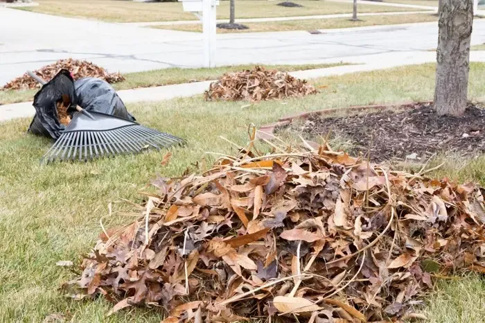 High-quality Yard Cleanup in Yuma, AZ