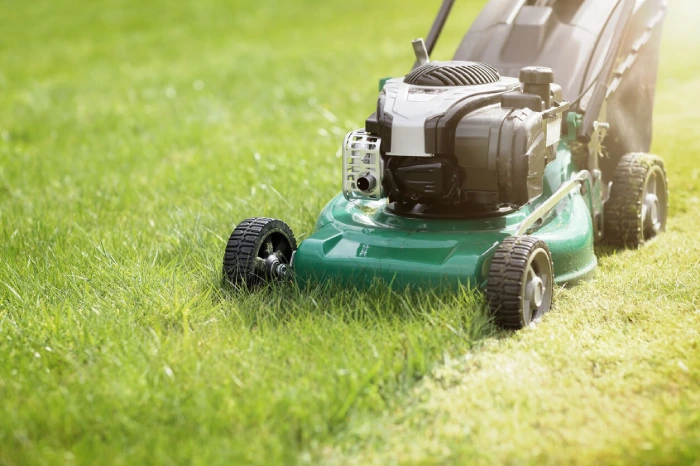 Lawn Mowing and Edging