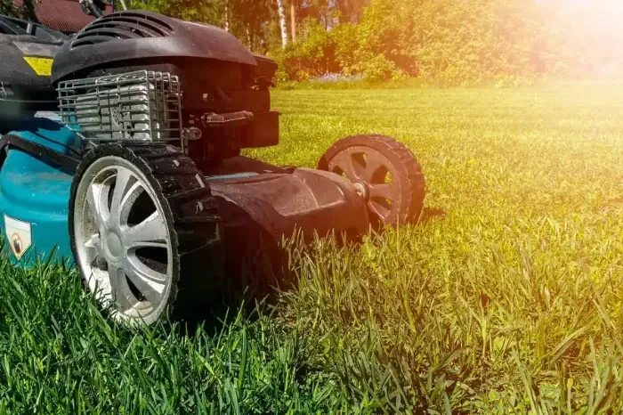 Professional Lawn Mowing in Yuma, AZ