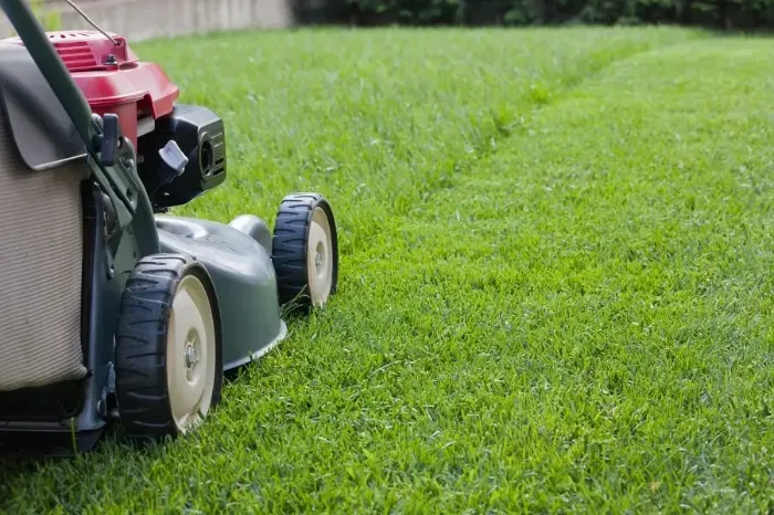 Reliable Lawn Mowing in Yuma, AZ