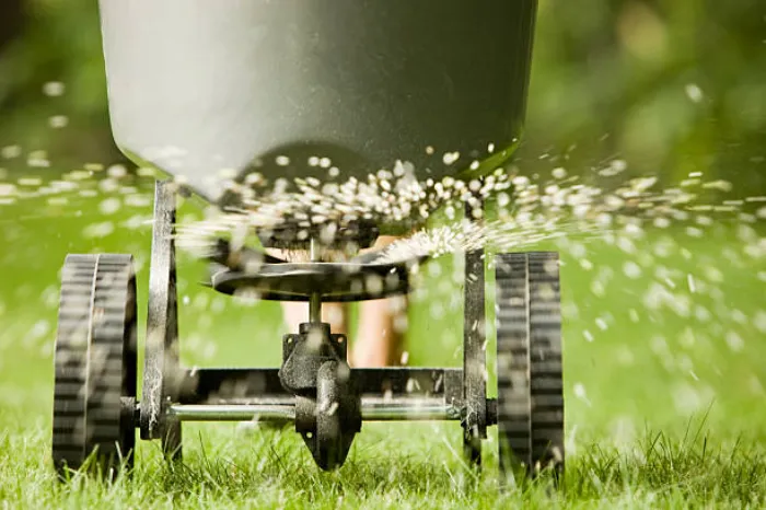 Top-notch Lawn Fertilization in Yuma, AZ